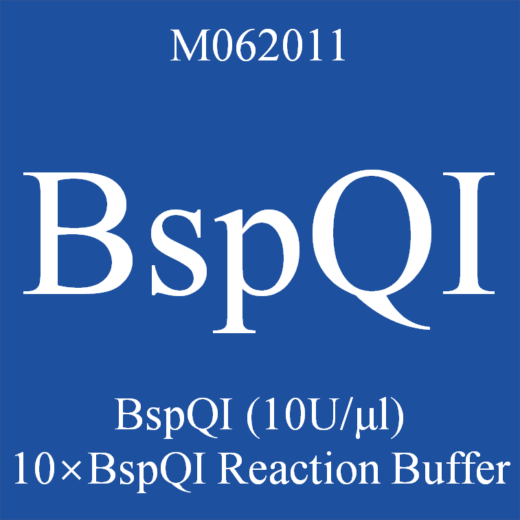 BspQI – Tinzyme Ltd